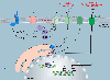 Figure 5 |