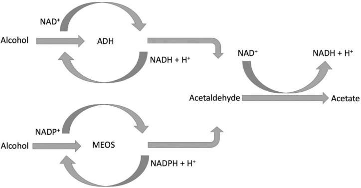 FIGURE 1