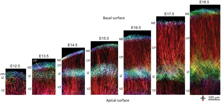 Figure 6.