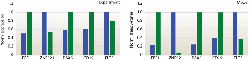 Fig 5