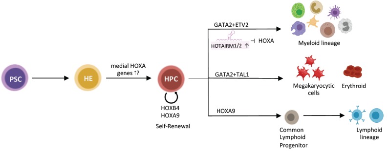 Fig. (2)