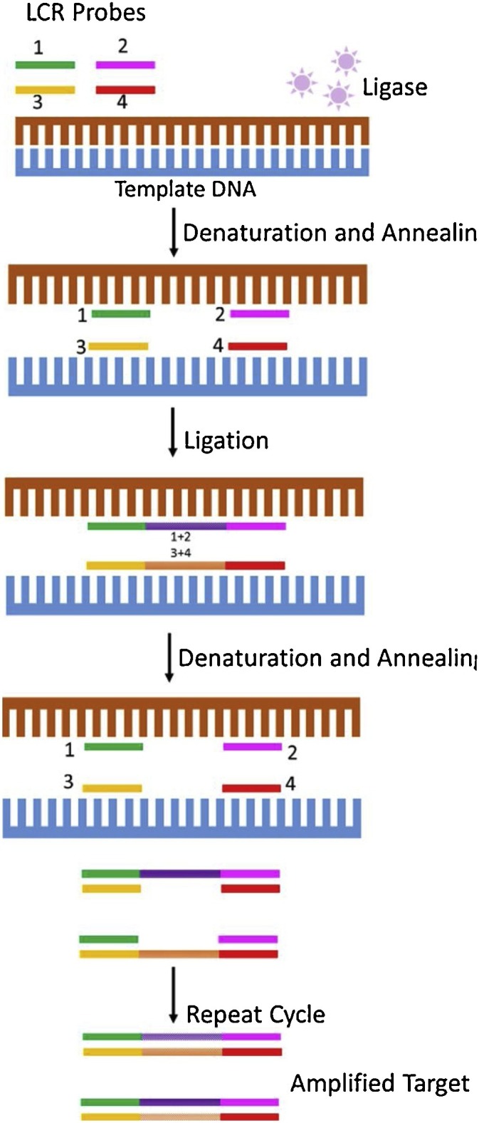 Fig. 10