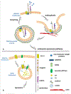 Fig. 2.