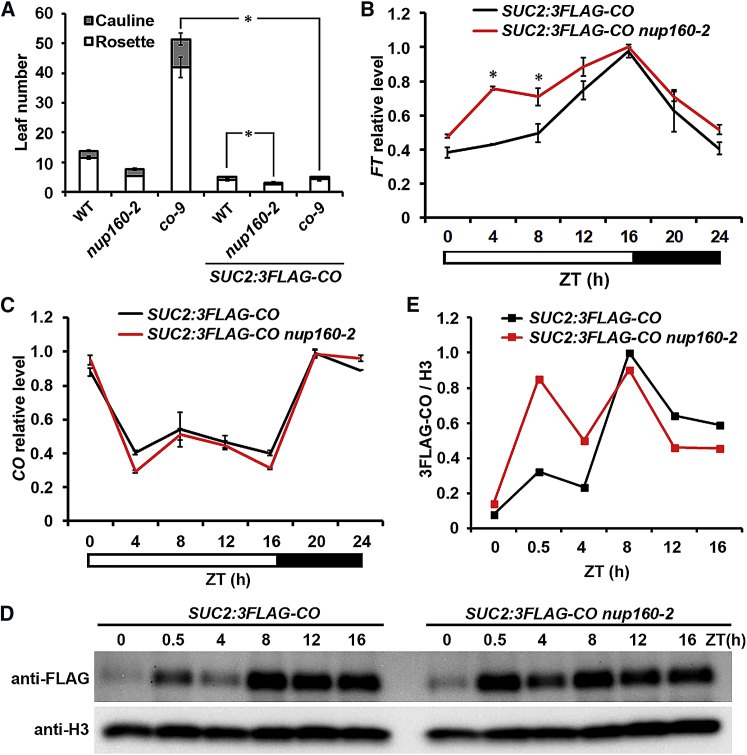 Figure 3