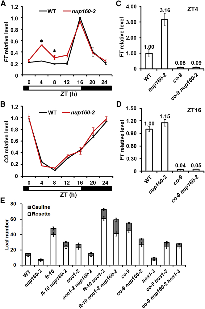 Figure 2