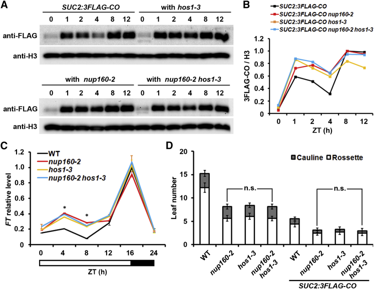 Figure 6