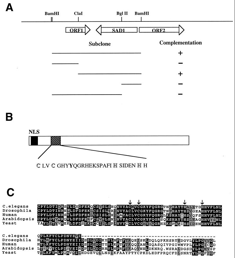 FIG. 7