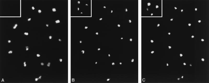 FIG. 8