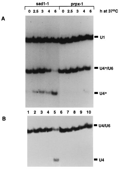 FIG. 4