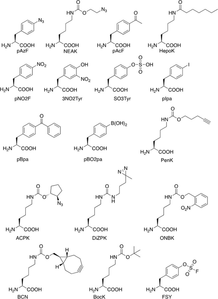 Fig. 10