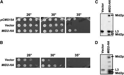 Figure 3.—