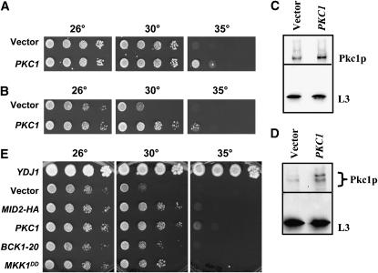 Figure 4.—