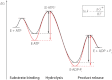 FIGURE 7.
