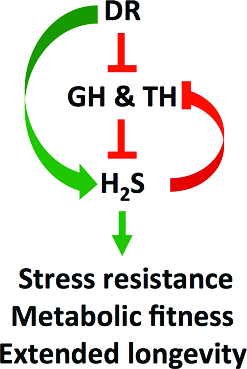 FIG. 6.