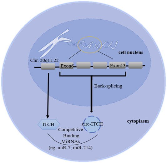 FIGURE 1