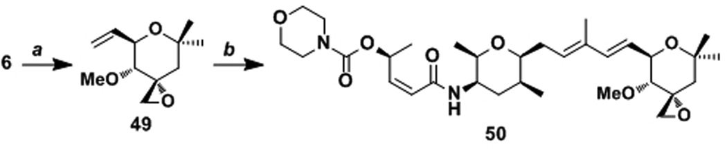 Scheme 6