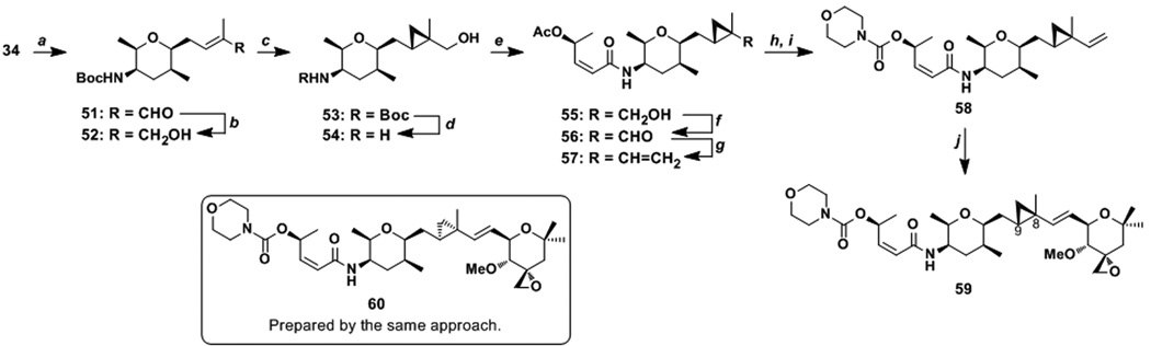 Scheme 7