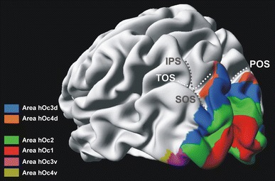 Fig. 9