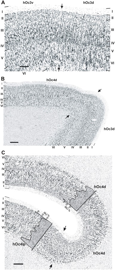 Fig. 5