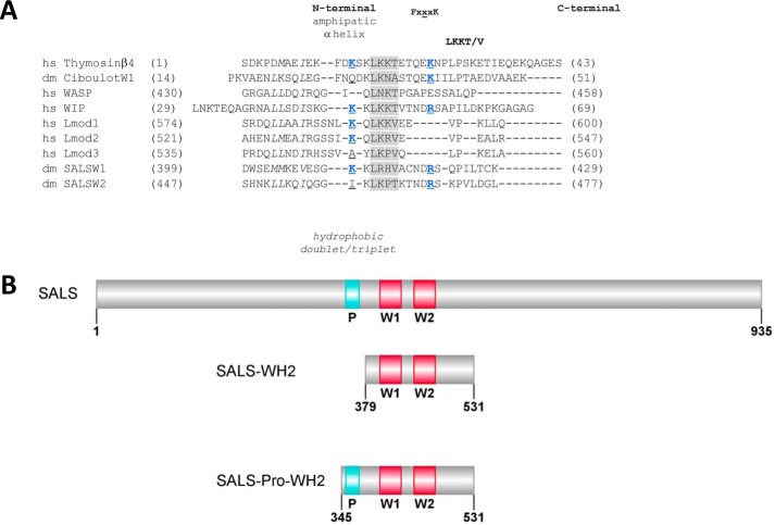 FIGURE 1.