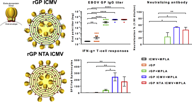 graphic file with name nihms-1515977-f0001.jpg