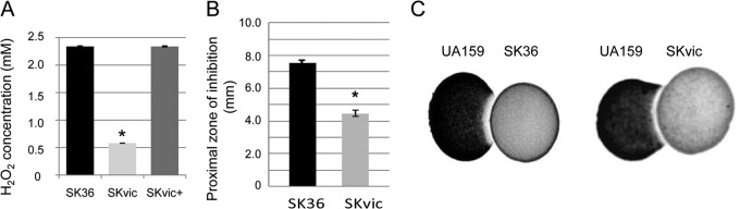 FIG 4