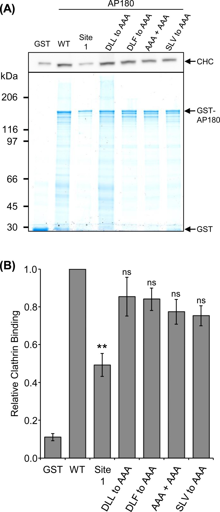 Fig 6