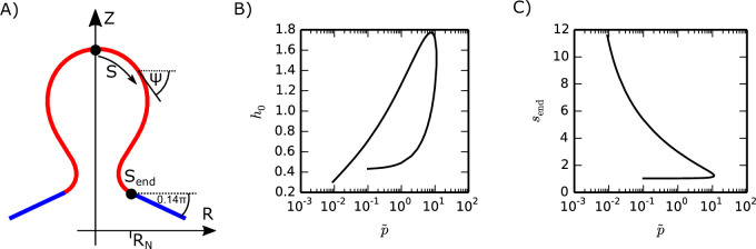 Figure 4—figure supplement 3.