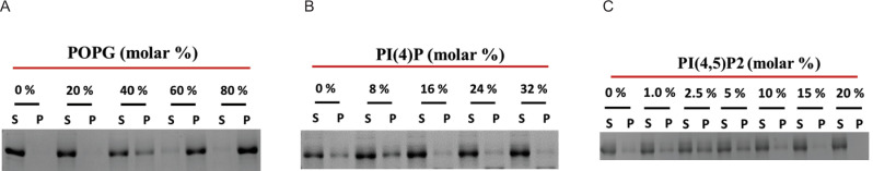 Figure 3—figure supplement 2.