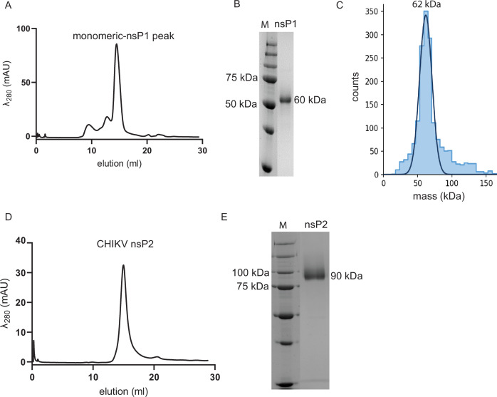 Figure 3—figure supplement 1.