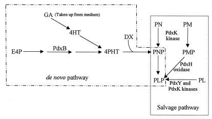 FIG. 1