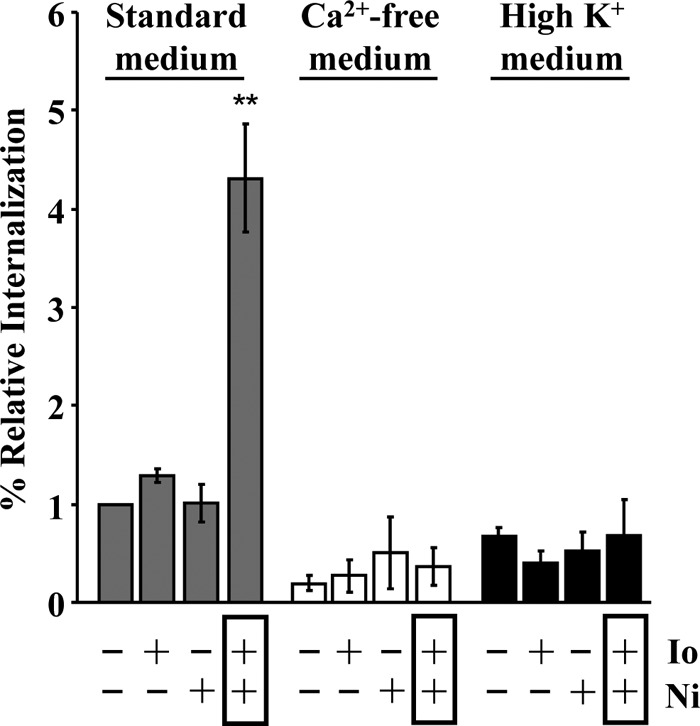 FIG 6