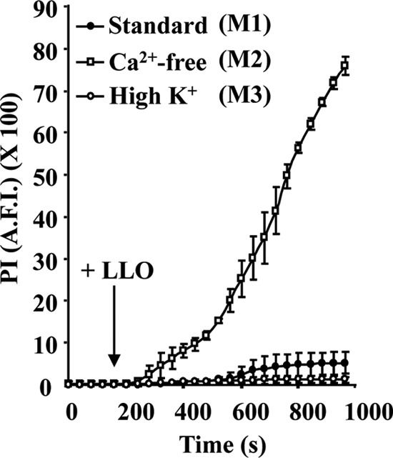 FIG 2