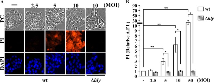 FIG 1