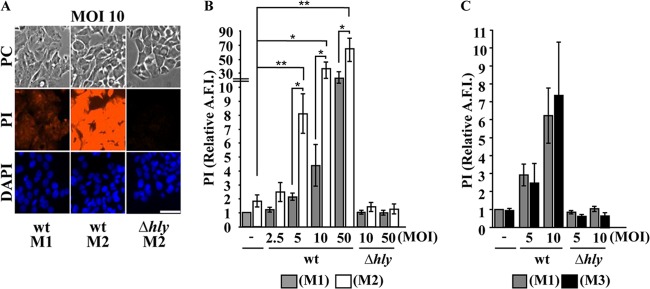 FIG 3