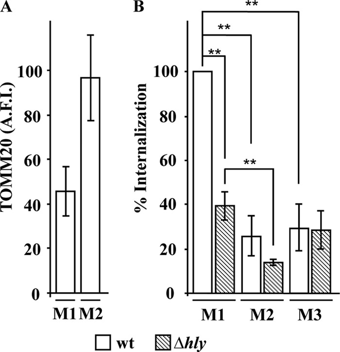 FIG 4