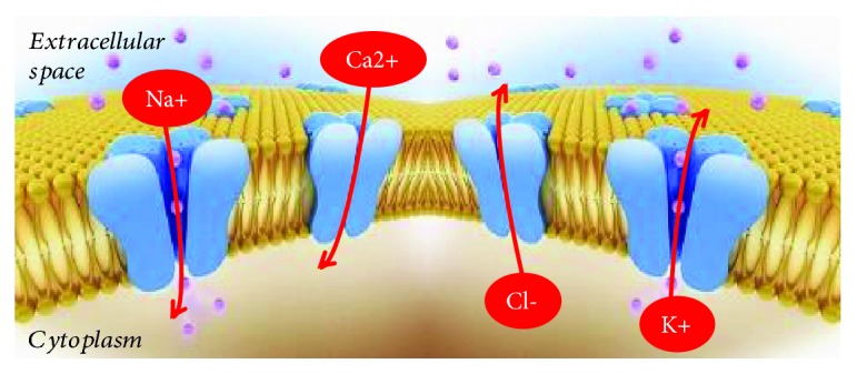 Figure 5