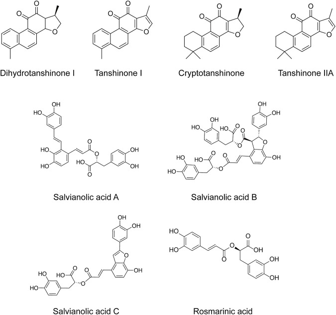 FIGURE 1