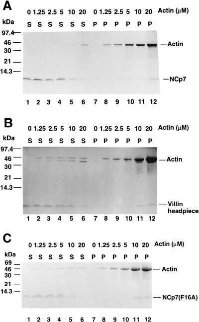 FIG. 5