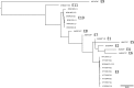 FIG 1