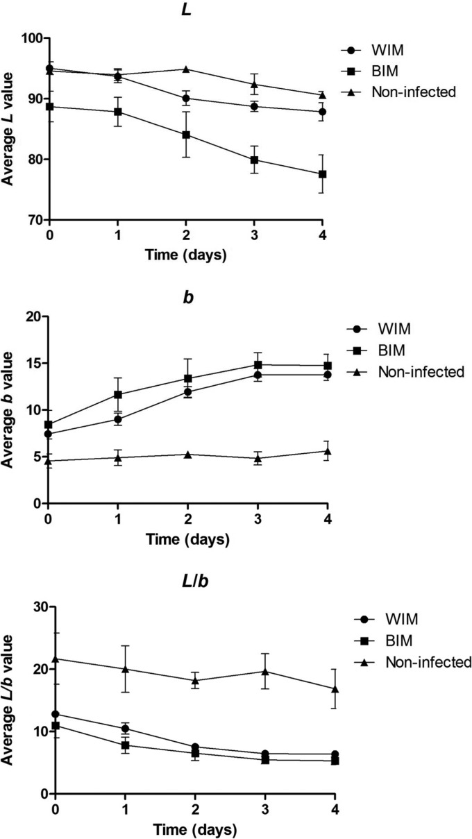 FIG 3