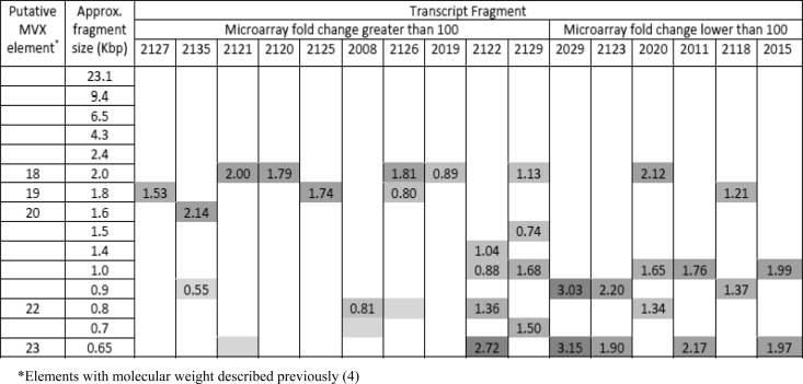 FIG 4