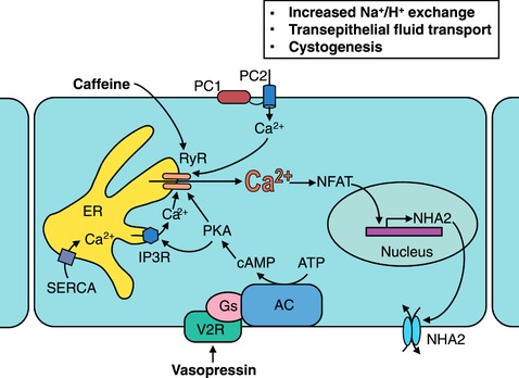 Figure 9