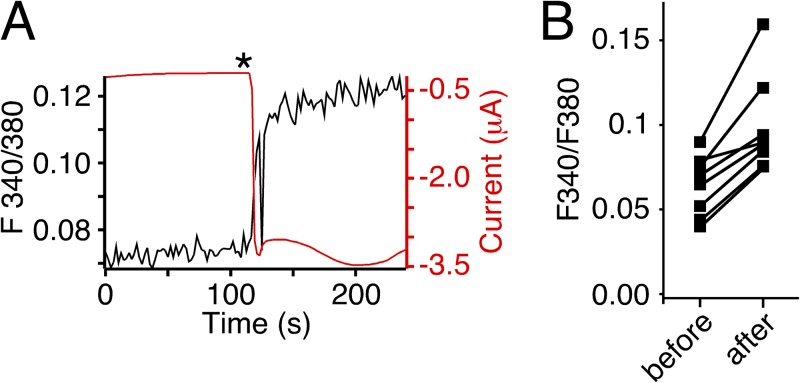 Figure 5.