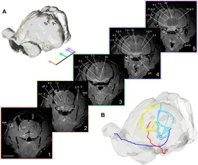 Fig. 1.