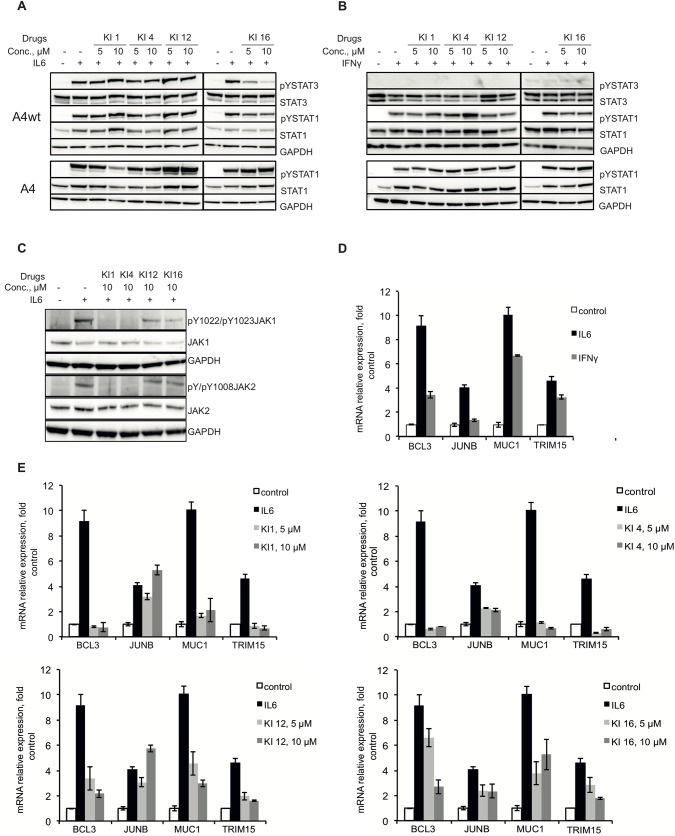 Fig 4