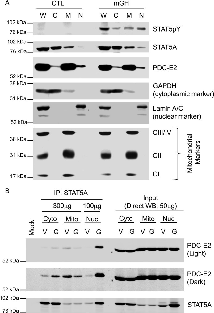 Figure 7.