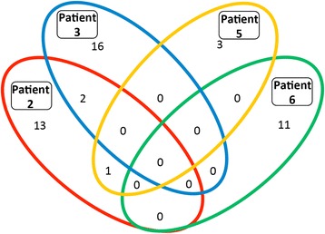 Fig. 6