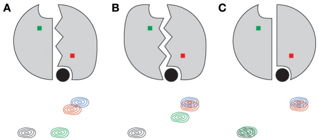 Figure 8