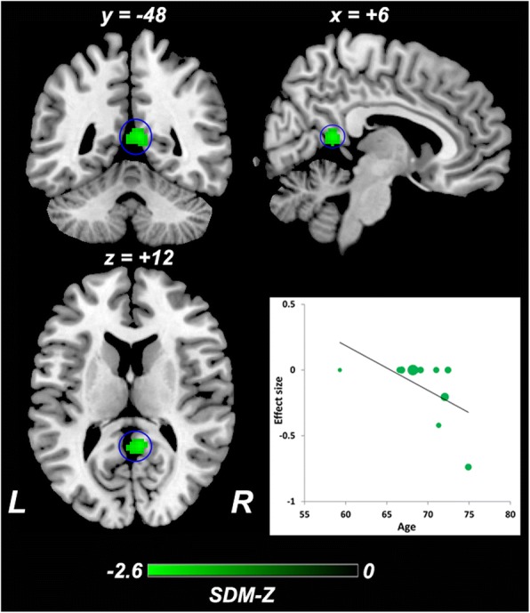 Fig. 6